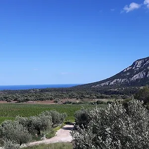https://agriturismo-su-barcu.in-sardinia.net